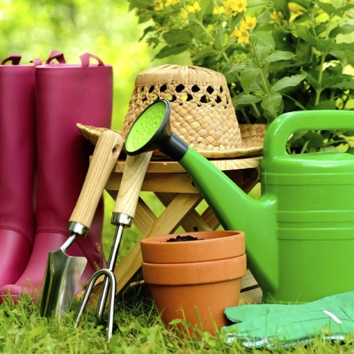 garden and outdoors